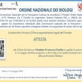 Ingrandire l'immagine: certificate 25