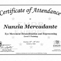 Ingrandire l'immagine: certificate 1