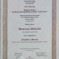 Ingrandire l'immagine: certificate 5