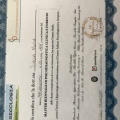 Ingrandire l'immagine: certificate 2
