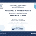 Ingrandire l'immagine: certificate 12