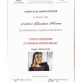 Ingrandire l'immagine: certificate 4
