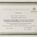 Ingrandire l'immagine: certificate 3