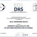 Ingrandire l'immagine: certificate 2