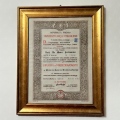 Ingrandire l'immagine: certificate 7