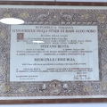 Ingrandire l'immagine: certificate 1