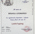 Ingrandire l'immagine: certificate 6