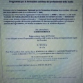 Ingrandire l'immagine: certificate 1