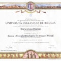 Ingrandire l'immagine: certificate 1