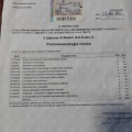 Ingrandire l'immagine: certificate 1