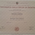 Ingrandire l'immagine: certificate 2