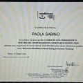 Ingrandire l'immagine: certificate 9