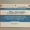 Ingrandire l'immagine: certificate 7