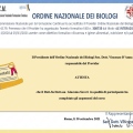 Ingrandire l'immagine: certificate 12