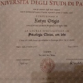 Ingrandire l'immagine: certificate 1