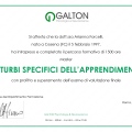 Ingrandire l'immagine: certificate 2