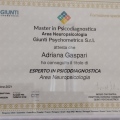 Ingrandire l'immagine: certificate 3