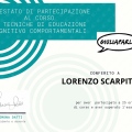 Ingrandire l'immagine: certificate 1