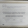 Ingrandire l'immagine: certificate 2