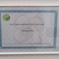 Ingrandire l'immagine: certificate 8