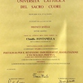 Ingrandire l'immagine: certificate 2