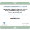 Ingrandire l'immagine: certificate 3