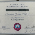 Ingrandire l'immagine: certificate 7