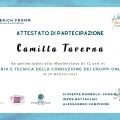 Ingrandire l'immagine: certificate 8
