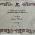 Ingrandire l'immagine: certificate 8