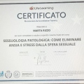 Ingrandire l'immagine: certificate 1