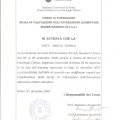 Ingrandire l'immagine: certificate 2