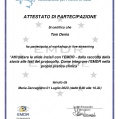 Ingrandire l'immagine: certificate 7