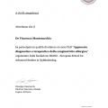 Ingrandire l'immagine: certificate 2