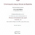 Ingrandire l'immagine: certificate 2