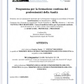 Ingrandire l'immagine: certificate 45