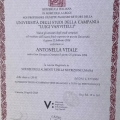 Ingrandire l'immagine: certificate 5