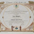 Ingrandire l'immagine: certificate 1
