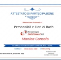Ingrandire l'immagine: certificate 4