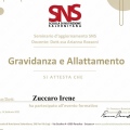 Ingrandire l'immagine: certificate 3