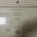 Ingrandire l'immagine: certificate 1