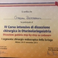 Ingrandire l'immagine: certificate 1