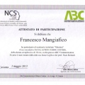 Ingrandire l'immagine: certificate 4