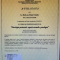 Ingrandire l'immagine: certificate 1