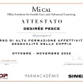 Ingrandire l'immagine: certificate 4