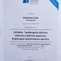 Ingrandire l'immagine: certificate 3
