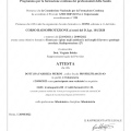 Ingrandire l'immagine: certificate 2