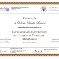 Ingrandire l'immagine: certificate 1