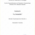 Ingrandire l'immagine: certificate 3