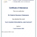 Ingrandire l'immagine: certificate 1