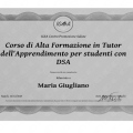 Ingrandire l'immagine: certificate 5